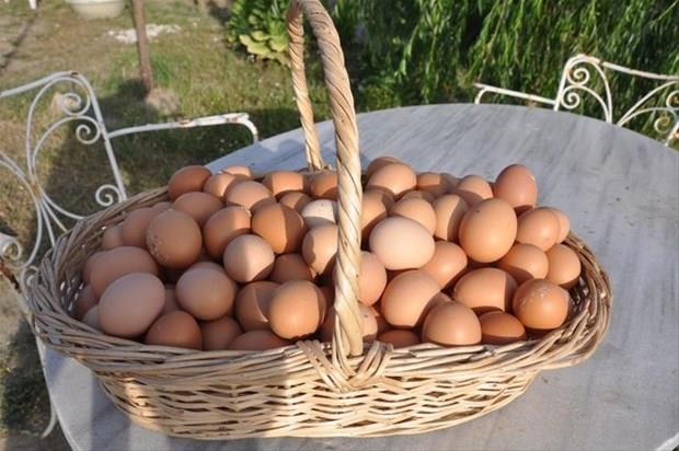 Bunu haberi okuduktan sonra yumurtanın kabuğunu çöpe atmayacaksınız