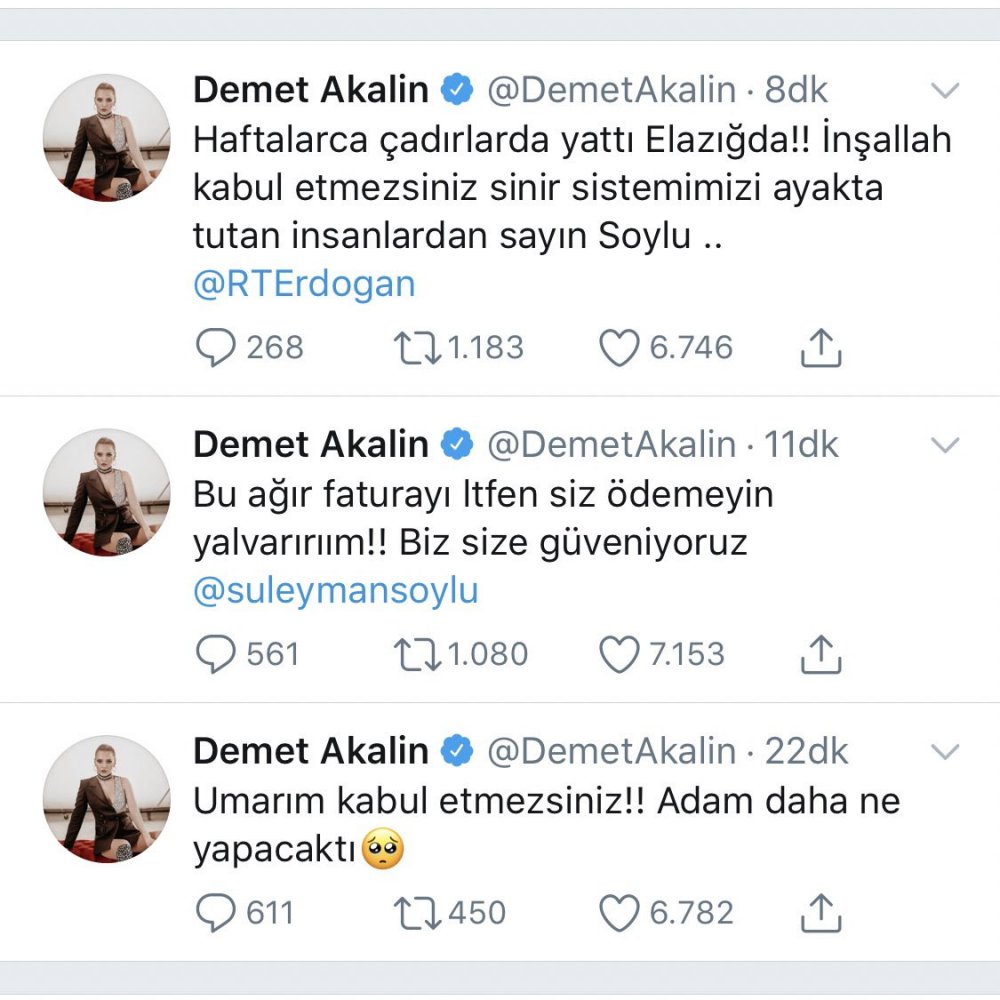 Demet Akalın'ın Soylu paylaşımı Twitter'ı salladı