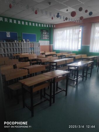 whatsapp-image-2025-03-05-at-162650-1.jpeg